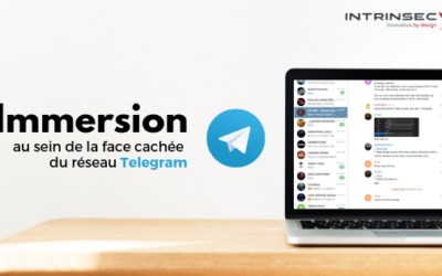 Immersion au sein de la face cachée du réseau Telegram