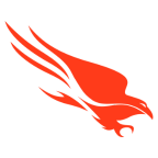 CROWDSTRIKE : 